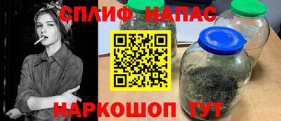 сатива Кингисепп