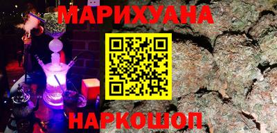сатива Кингисепп