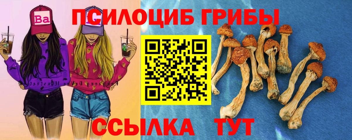 Галлюциногенные грибы мухоморы  Вход с VPN  магазин    Куйбышев 