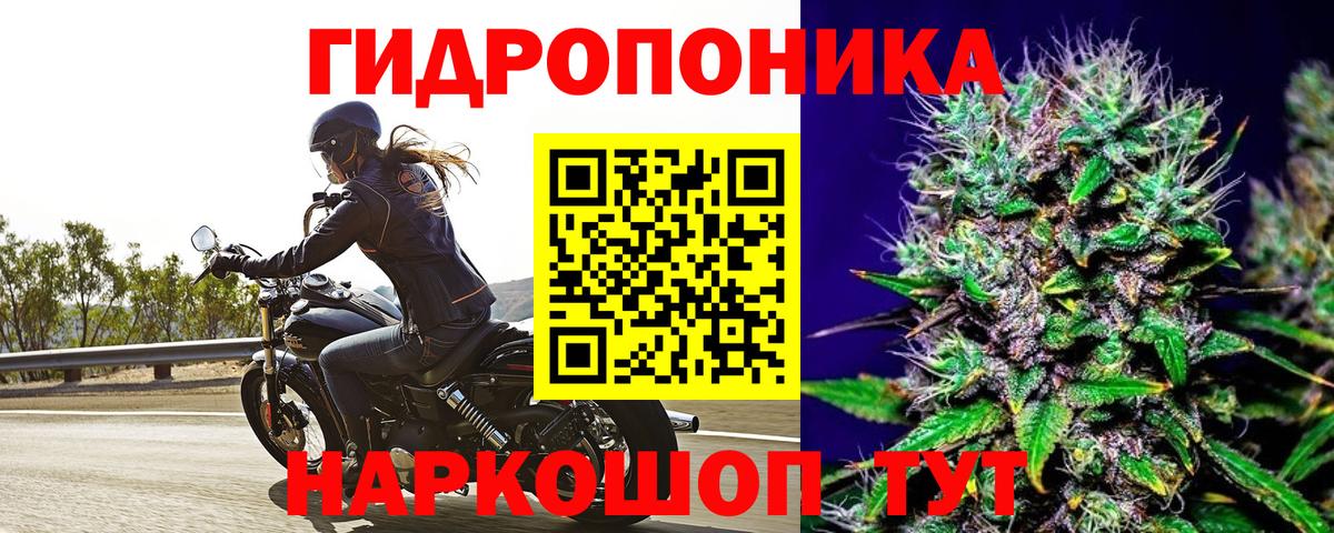 Куйбышев  Канабис семена  Канабис сатива  Вход с VPN 